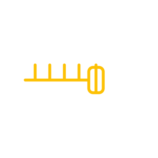 Автобусы